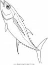animales/peces/peces_147.JPG