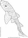 animales/peces/peces_149.JPG