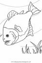 animales/peces/piranha.JPG