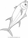 animales/peces/tuna_1.JPG