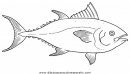 animales/peces/tuna_2.JPG
