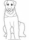 animales/perros/airedale.JPG