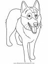 animales/perros/alaskan-malamute.JPG