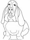 animales/perros/basset-hound.JPG