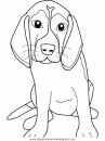 animales/perros/beagle.JPG