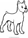 animales/perros/bulldog_boxer_1.JPG