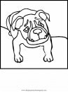 animales/perros/bulldog_boxer_2.JPG