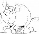 animales/perros/bulldog_boxer_8.JPG