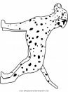 animales/perros/dalmatian.JPG