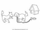 animales/perros/perros_001.JPG