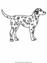 animales/perros/perros_007.JPG