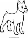 animales/perros/perros_013.JPG