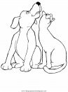 animales/perros/perros_021.JPG