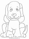 animales/perros/perros_027.JPG
