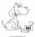 animales/perros/perros_034.JPG