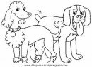 animales/perros/perros_035.JPG