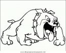 animales/perros/perros_036.JPG