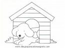 animales/perros/perros_039.JPG