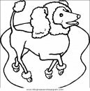 animales/perros/perros_044.JPG