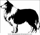 animales/perros/perros_052.JPG