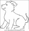 animales/perros/perros_053.JPG