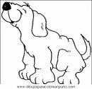 animales/perros/perros_054.JPG