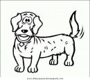 animales/perros/perros_057.JPG