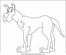 animales/perros/perros_061.JPG