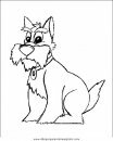 animales/perros/perros_066.JPG