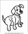 animales/perros/perros_067.JPG