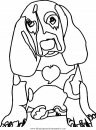 animales/perros/perros_078.JPG