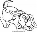 animales/perros/perros_081.JPG