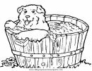 animales/perros/perros_083.JPG