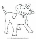 animales/perros/perros_085.JPG