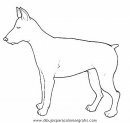 animales/perros/perros_089.JPG