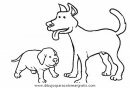 animales/perros/perros_095.JPG