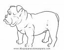 animales/perros/perros_098.JPG
