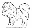 animales/perros/perros_099.JPG