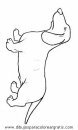 animales/perros/perros_100.JPG