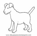 animales/perros/perros_101.JPG