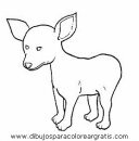 animales/perros/perros_104.JPG