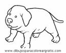 animales/perros/perros_105.JPG