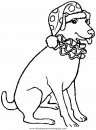 animales/perros/perros_110.JPG