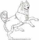 animales/perros/perros_114.JPG