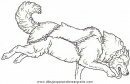 animales/perros/perros_116.JPG