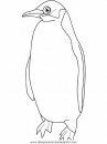 animales/pinguinos/pinguinos_25.JPG