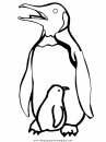 animales/pinguinos/pinguinos_27.JPG