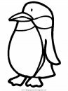 animales/pinguinos/pinguinos_35.JPG