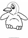 animales/pinguinos/pinguinos_36.JPG
