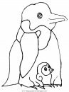 animales/pinguinos/pinguinos_38.JPG